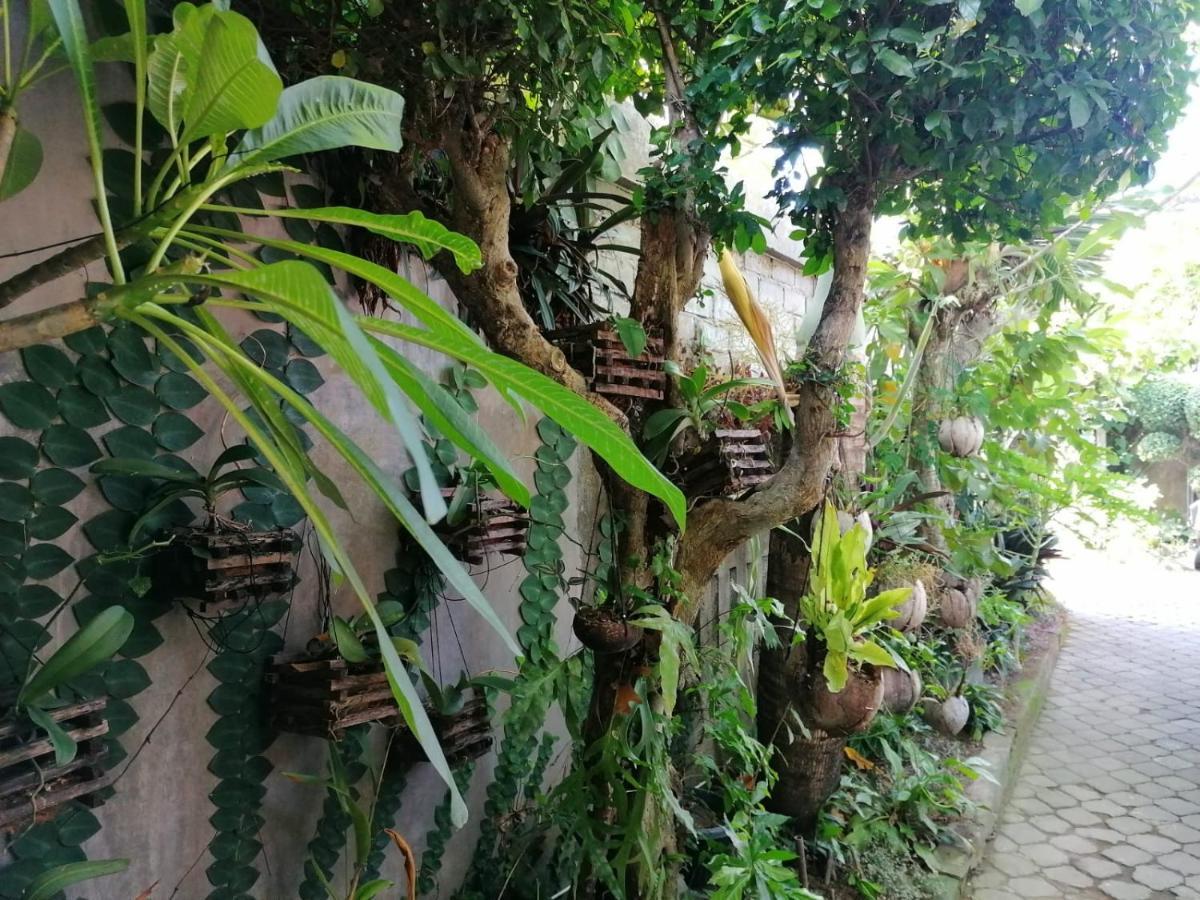Coliving Bali Sweet Home Kost Lengkap Di Tabanan Kota Exteriér fotografie