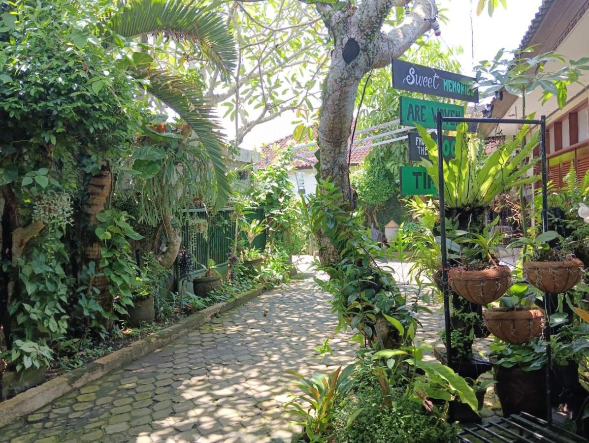 Coliving Bali Sweet Home Kost Lengkap Di Tabanan Kota Exteriér fotografie