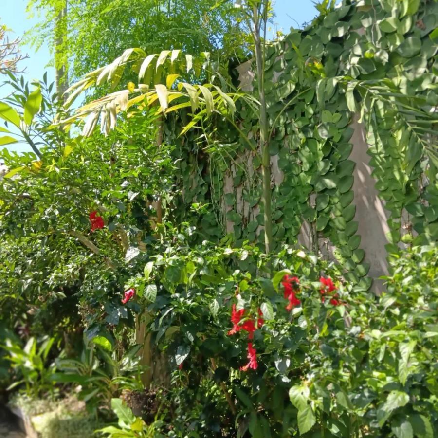 Coliving Bali Sweet Home Kost Lengkap Di Tabanan Kota Exteriér fotografie