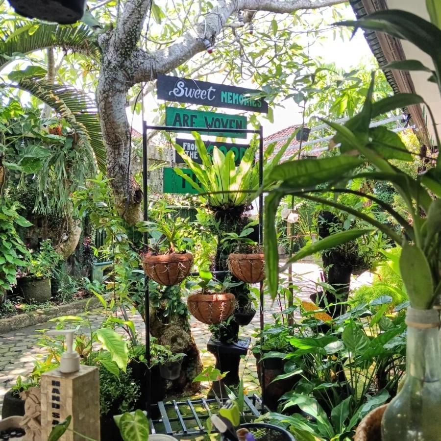 Coliving Bali Sweet Home Kost Lengkap Di Tabanan Kota Exteriér fotografie