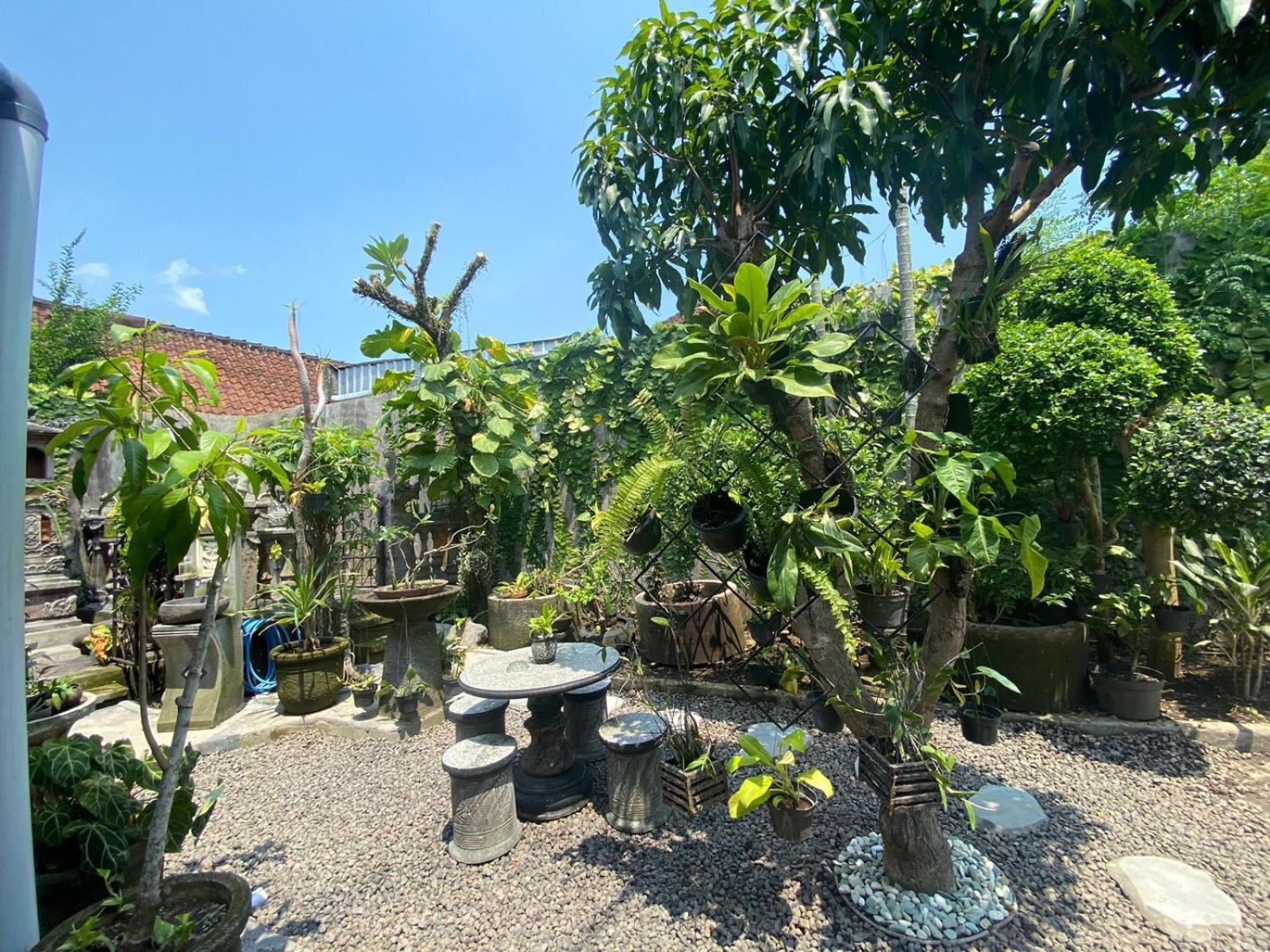 Coliving Bali Sweet Home Kost Lengkap Di Tabanan Kota Exteriér fotografie