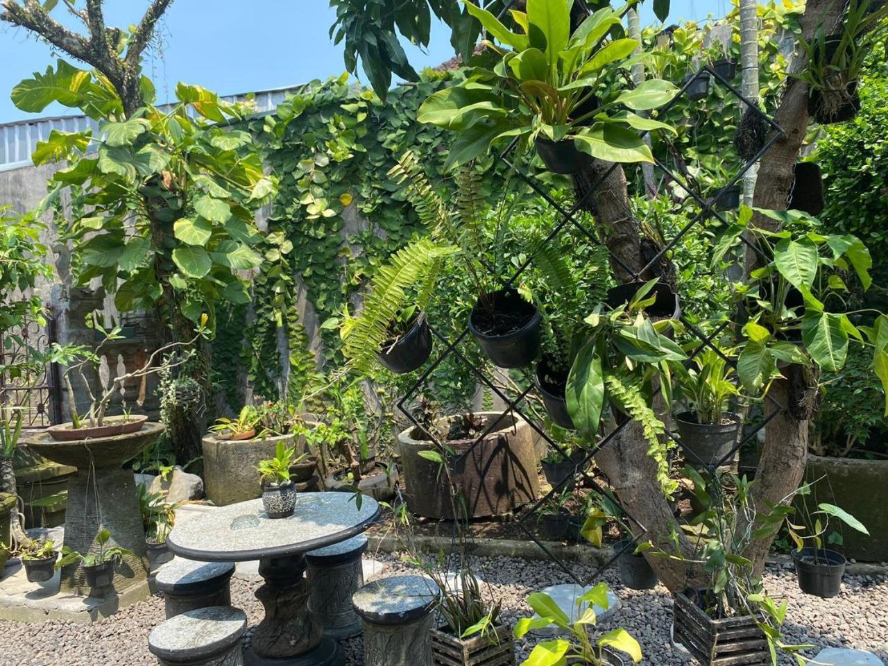 Coliving Bali Sweet Home Kost Lengkap Di Tabanan Kota Exteriér fotografie